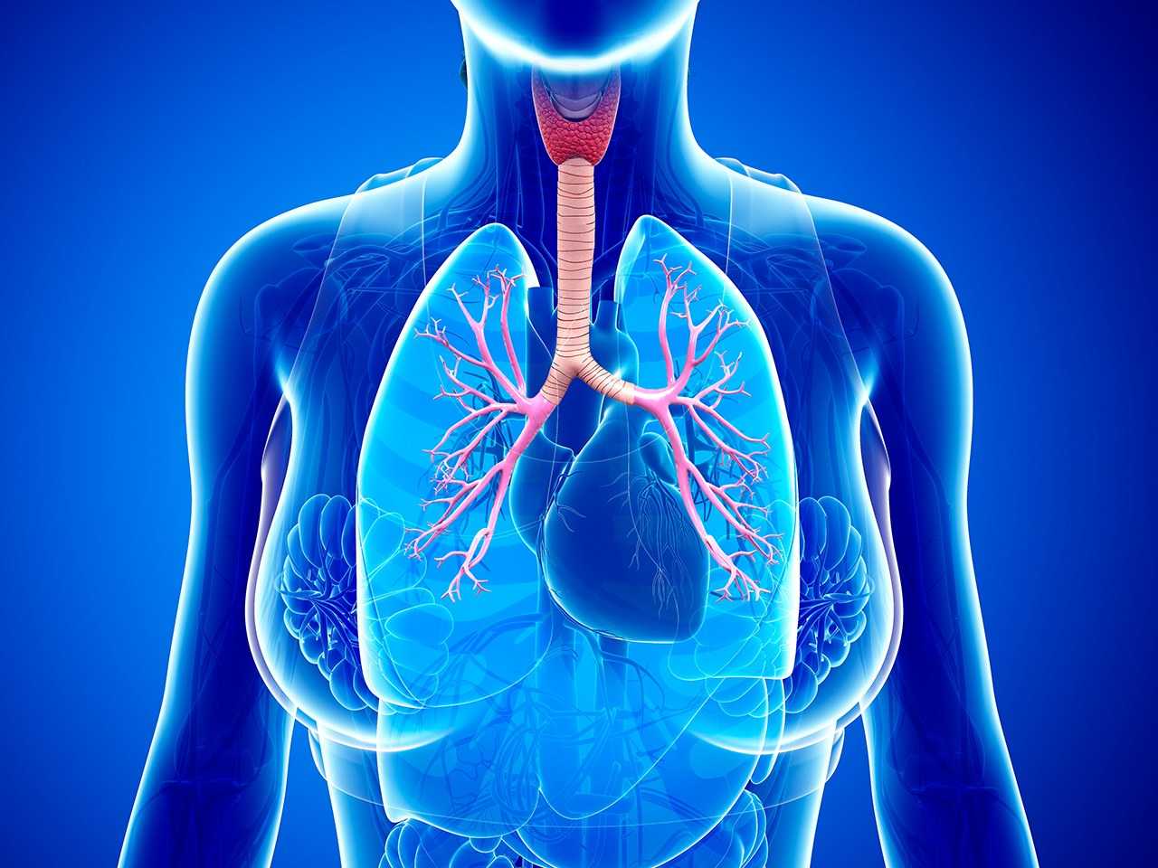 Хронические респираторные заболевания. Бронхиальная астма патология. Заболевания органов дыхания.